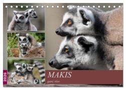 Cover-Bild zum Titel 'Makis ganz süss (Tischkalender 2026 DIN A5 quer), CALVENDO Monatskalender' von 'MoNo-Foto MoNo-Foto'