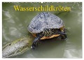 Wasserschildkröten (Wandkalender 2024 DIN A2 quer), CALVENDO Monatskalender - Klaudia Kretschmann