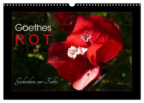 Goethes Rot. Gedanken zur Farbe (Wandkalender 2024 DIN A3 quer), CALVENDO Monatskalender - Lucy M. Laube