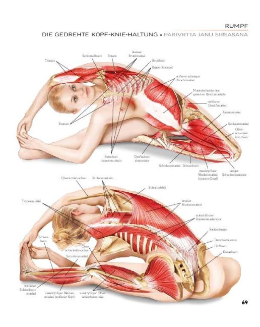 InsideView 10