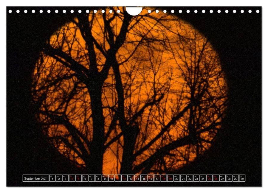 InsideView 14