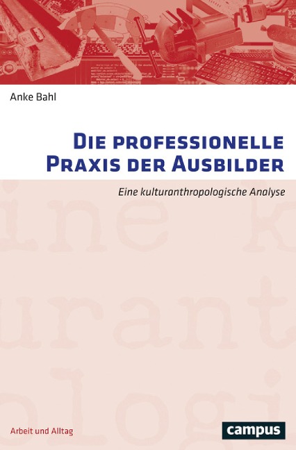 Die professionelle Praxis der Ausbilder - Anke Bahl