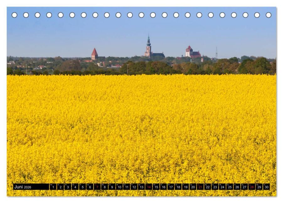 InsideView 11