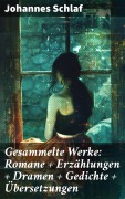Cover-Bild zum Titel 'Gesammelte Werke: Romane + Erzählungen + Dramen + Gedichte + Übersetzungen' von 'Johannes Schlaf'