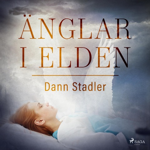 Änglar i elden - Dann Stadler