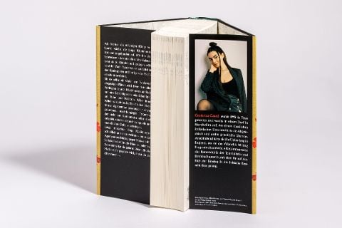 InsideView 5