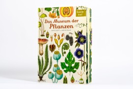 Cover-Bild zum Titel 'Das Museum der Pflanzen' von 'Katie Scott, Kathy Willis'