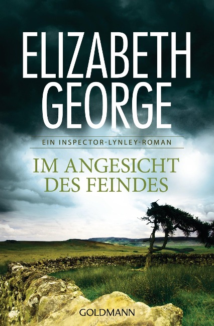 Im Angesicht des Feindes - Elizabeth George