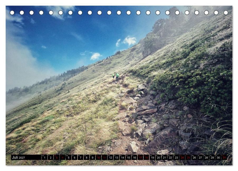 InsideView 12