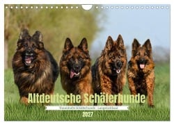 Cover-Bild zum Titel 'Altdeutsche Schäferhunde - Traumhafte Schäferhunde Langstockhaar (Wandkalender 2027 DIN A4 quer), CALVENDO Monatskalender' von 'Jana K. Fotografie'