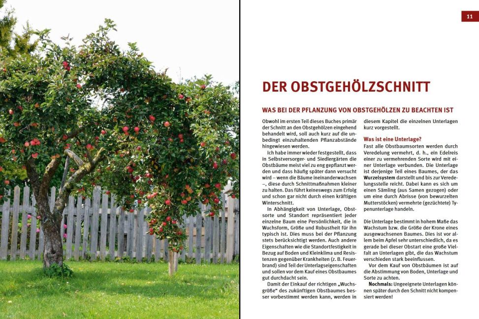 InsideView 1