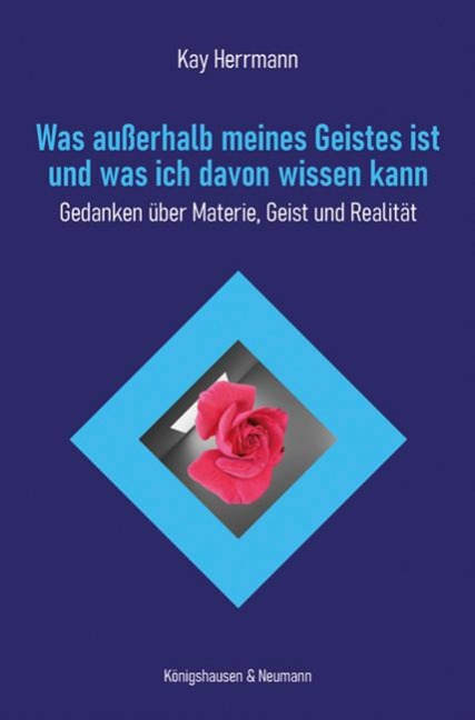 Was außerhalb meines Geistes ist und was ich davon wissen kann - Kay Herrmann