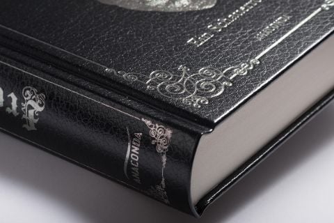 InsideView 5