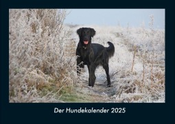 Cover-Bild zum Titel 'Der Hundekalender 2025 Fotokalender DIN A4' von 'Tobias Becker'