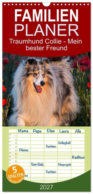 Familienplaner 2027 - Traumhund Collie - Mein bester Freund mit 5 Spalten (Wandkalender, 21 x 45 cm) CALVENDO - Sigrid Starick