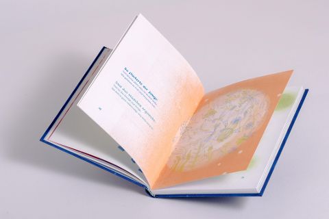 InsideView 4