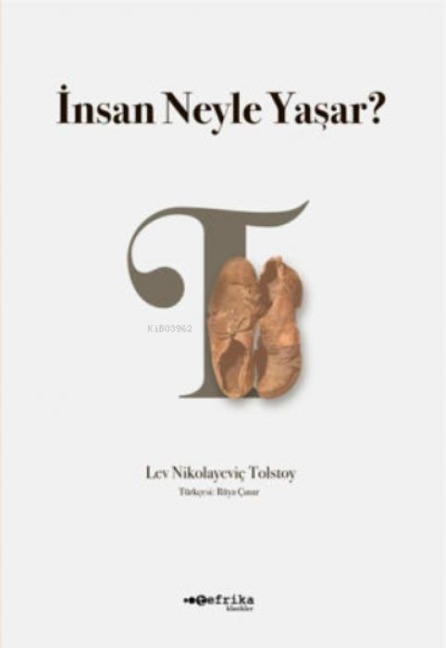 Insan Neyle Yasar - Lev Nikolayevic Tolstoy