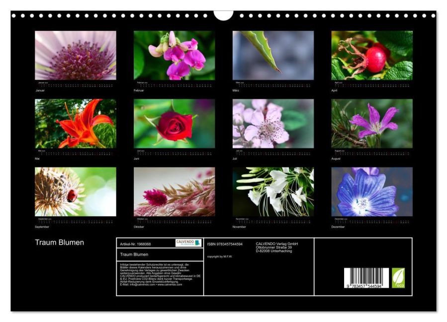 InsideView 5