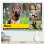 Cover-Bild zum Titel 'Malinois - belgischer Schäferhund (hochwertiger Premium Wandkalender 2026 DIN A2 quer), Kunstdruck in Hochglanz' von 'Tanja Riedel'