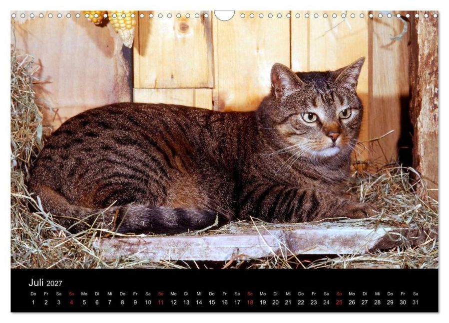 InsideView 12