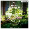 Cover-Bild zum Titel 'Waldgeheimnisse' von 'Wohllebens Waldakademie'