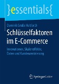 Schlüsselfaktoren im E-Commerce - Dominik Große Holtforth