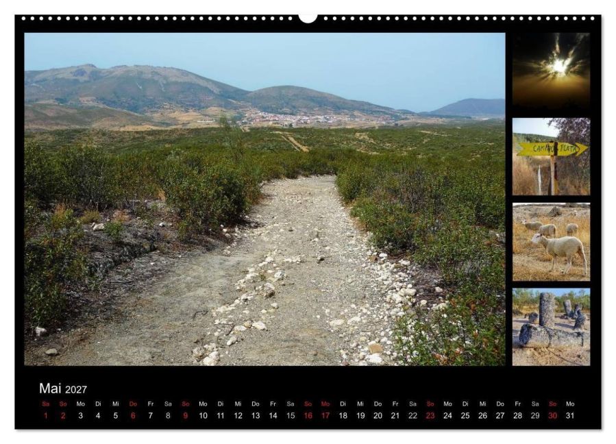 InsideView 10