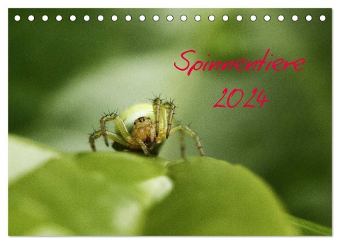 Spinnentiere 2024 (Tischkalender 2024 DIN A5 quer), CALVENDO Monatskalender - Hernegger Arnold