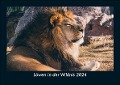 Löwen in der Wildnis 2024 Fotokalender DIN A5 - Tobias Becker