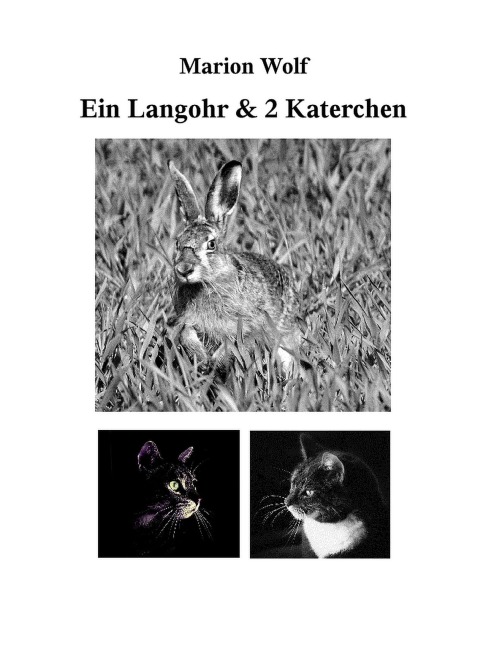 Ein Langohr & 2 Katerchen - Marion Wolf