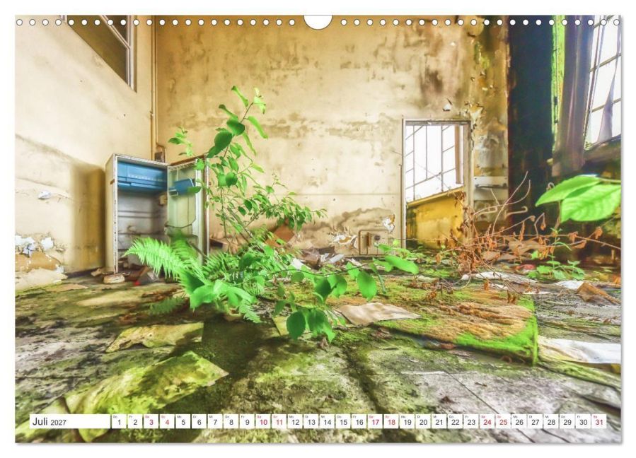 InsideView 12