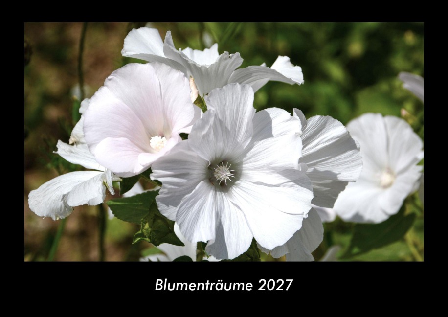 Blumenträume 2027 Fotokalender DIN A3 - Tobias Becker