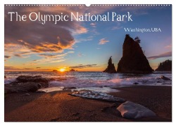 The Olympic National Park - Washington USA (Wandkalender 2026 DIN A2 quer), CALVENDO Monatskalender - Thomas Klinder