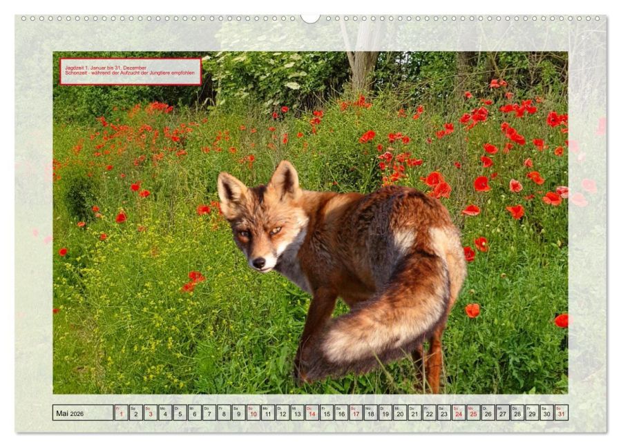 InsideView 10