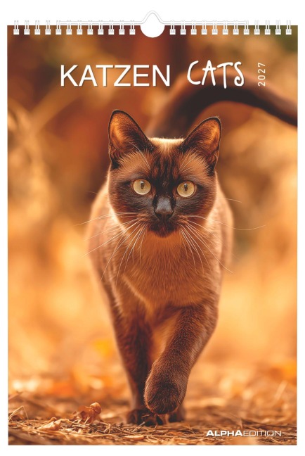 Katzen 2027 - 