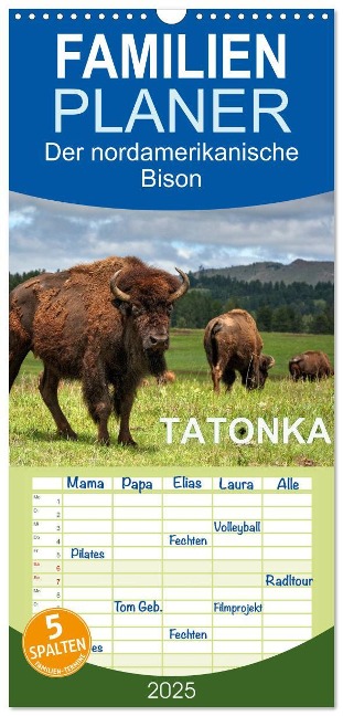 Familienplaner 2025 - TATONKA Der nordamerikanische Bison mit 5 Spalten (Wandkalender, 21 x 45 cm) CALVENDO - Dieter-M. Wilczek