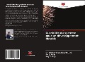 Cover-Bild zum Titel 'Durabilité du système pour un développement durable' von 'Shirley Mo Ching Yeung, Felix Kulie, Ray Young'