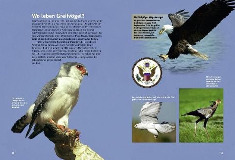 InsideView 4