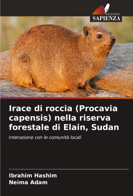 Irace di roccia (Procavia capensis) nella riserva forestale di Elain, Sudan - Ibrahim Hashim, Neima Adam