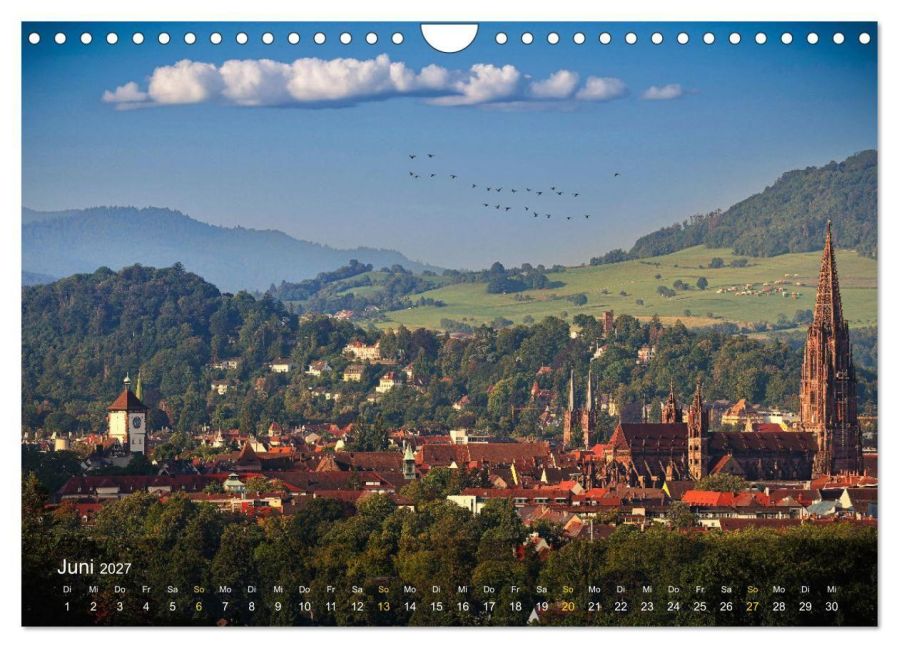 InsideView 11
