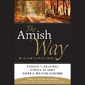 The Amish Way - Donald B Kraybill, Steven M Nolt, David L Weaver-Zercher