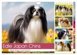 Edle Japan Chins. Zarte Herzen aus Fernost (Wandkalender 2026 DIN A4 quer), CALVENDO Monatskalender - Rose Hurley