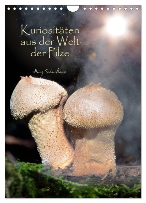 Kuriositäten aus der Welt der Pilze (Wandkalender 2027 DIN A4 hoch), CALVENDO Monatskalender - Heinz Schmidbauer