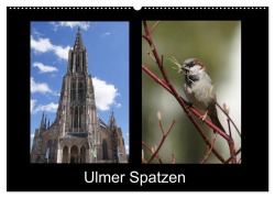 Cover-Bild zum Titel 'Ulmer Spatzen (Wandkalender 2026 DIN A2 quer), CALVENDO Monatskalender' von 'Kattobello Kattobello'