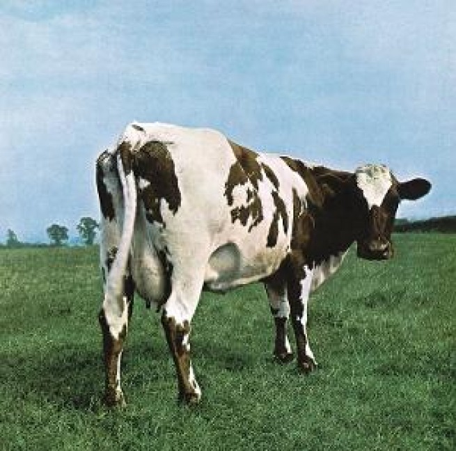 Atom Heart Mother - Floyd Pink