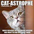 Cat-Astrophe 2025 12 X 12 Wall Calendar - Willow Creek Press