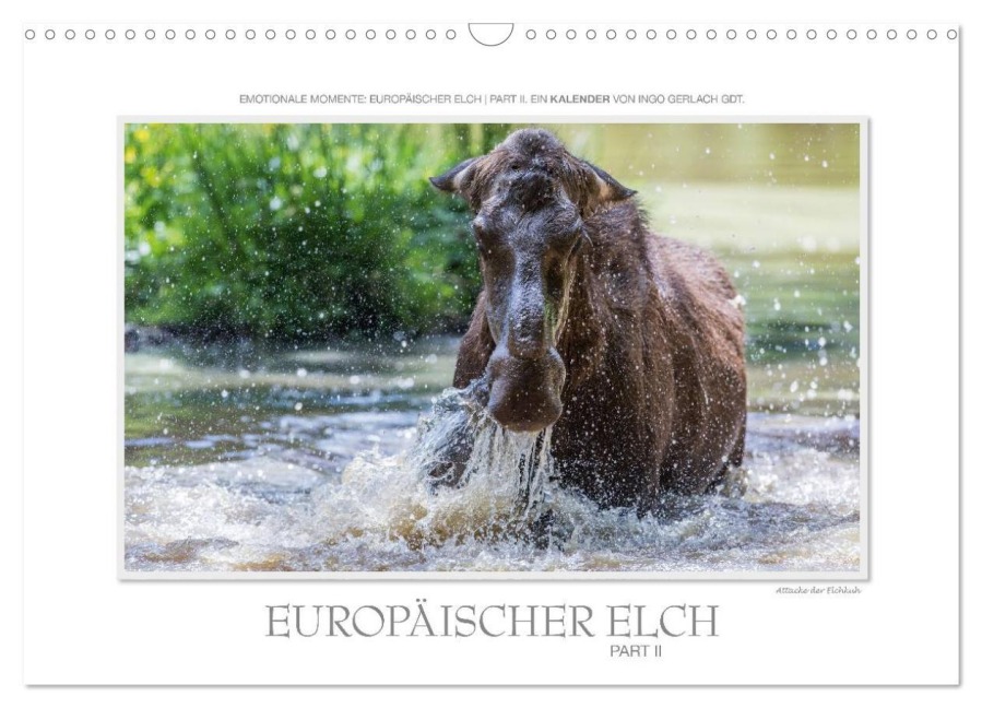 Emotionale Momente: Europäischer Elch Part II (Wandkalender 2026 DIN A3 quer), CALVENDO Monatskalender - Ingo Gerlach GDT