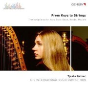 Cover-Bild zum Titel 'From Keys to Strings' von 'Tjasha Gafner'