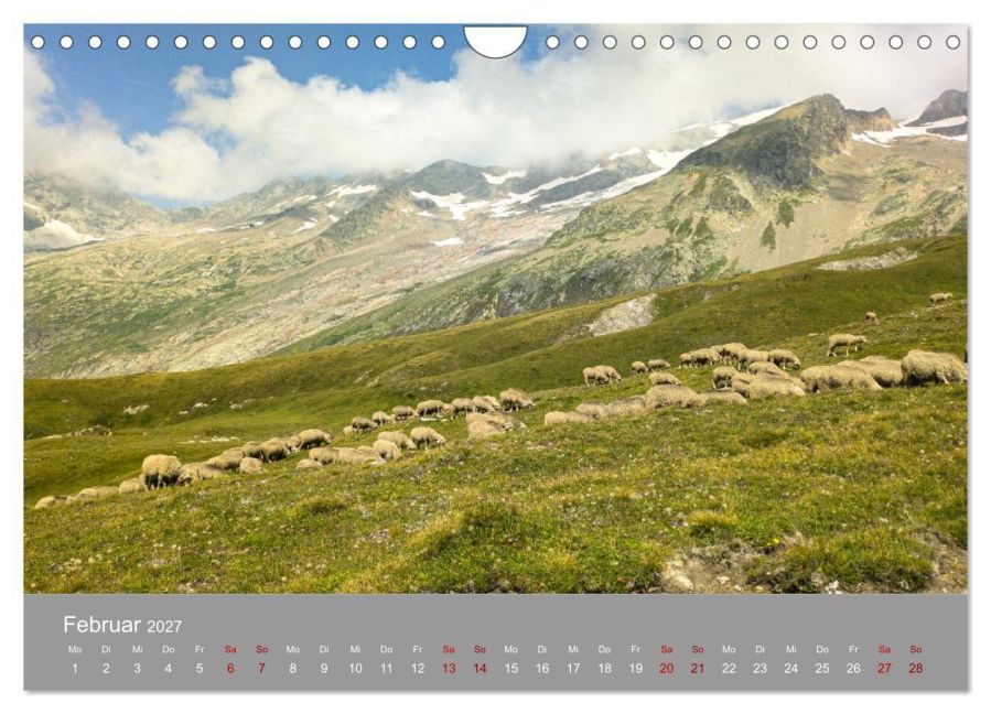 InsideView 7