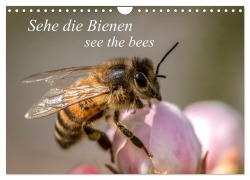 Cover-Bild zum Titel 'Sehe die Bienen (Wandkalender 2026 DIN A4 quer), CALVENDO Monatskalender' von 'Andrea Dreegmeyer'